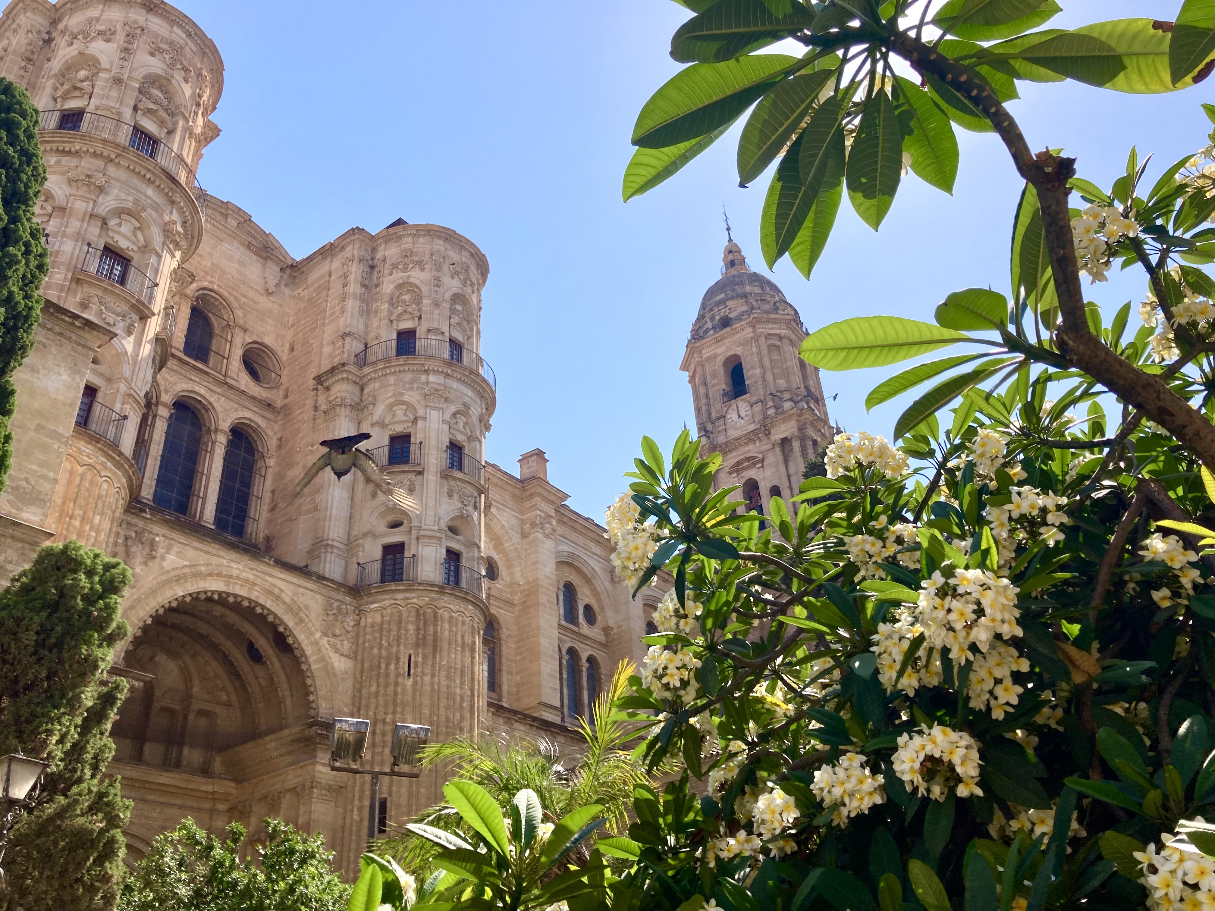 Málaga - ein antiker Schatz