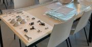Bild-1