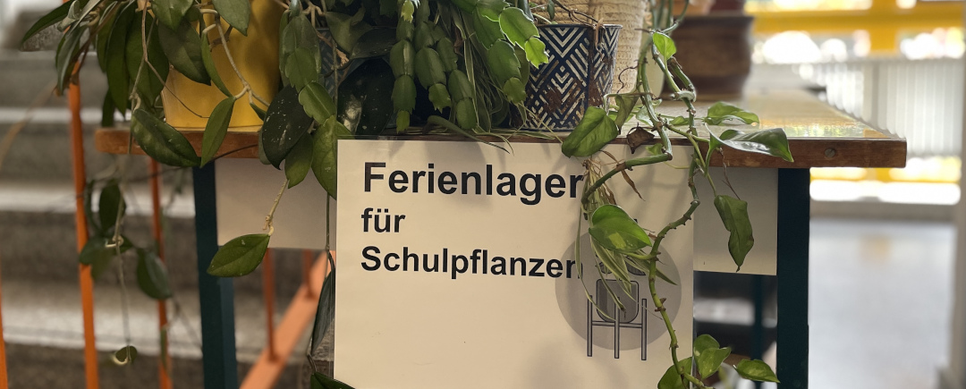 Sommer, Sonne, Sonnenschein - Was kann schöner sein?