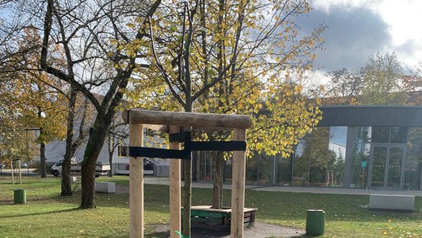 Die Apfelbäume sind da und weitere gute Nachrichten