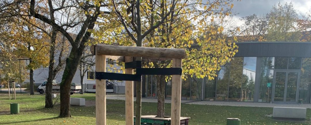 Die Apfelbäume sind da und weitere gute Nachrichten